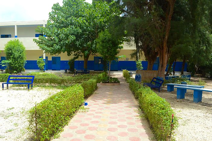 L'allée carrelée du jardin intérieur, bordée de haies taillées et d'arbres